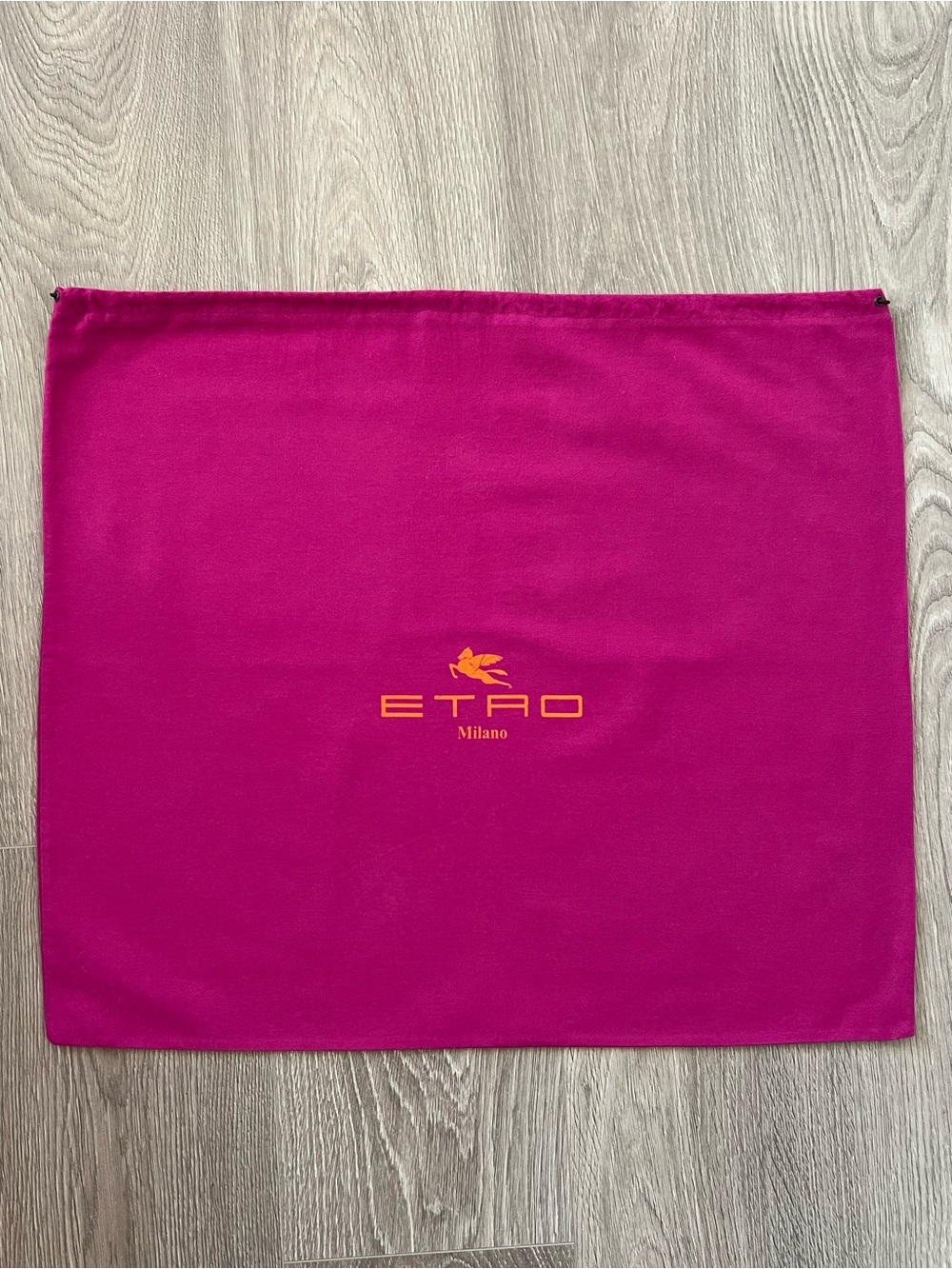 Etro dust bag (C319)